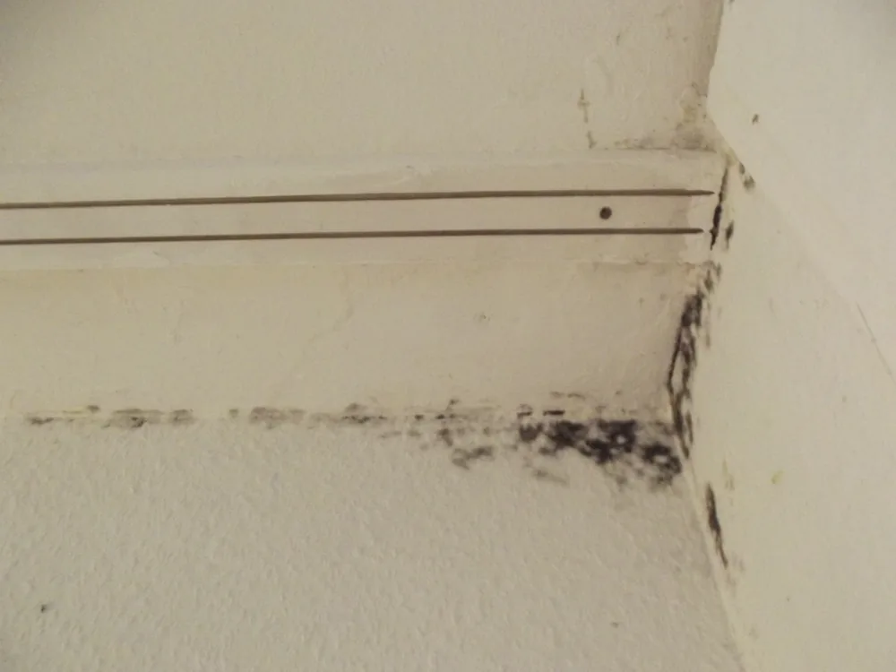 Technician in protective gear removing a mold-damaged wall in a Bullard home